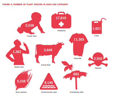 Number of plant species in each use category