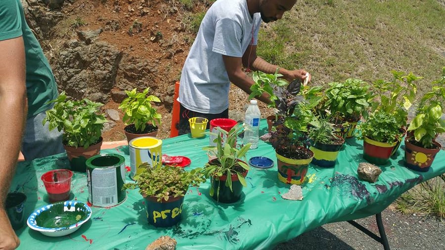 decorate a pot for 4-20 -- Seans group