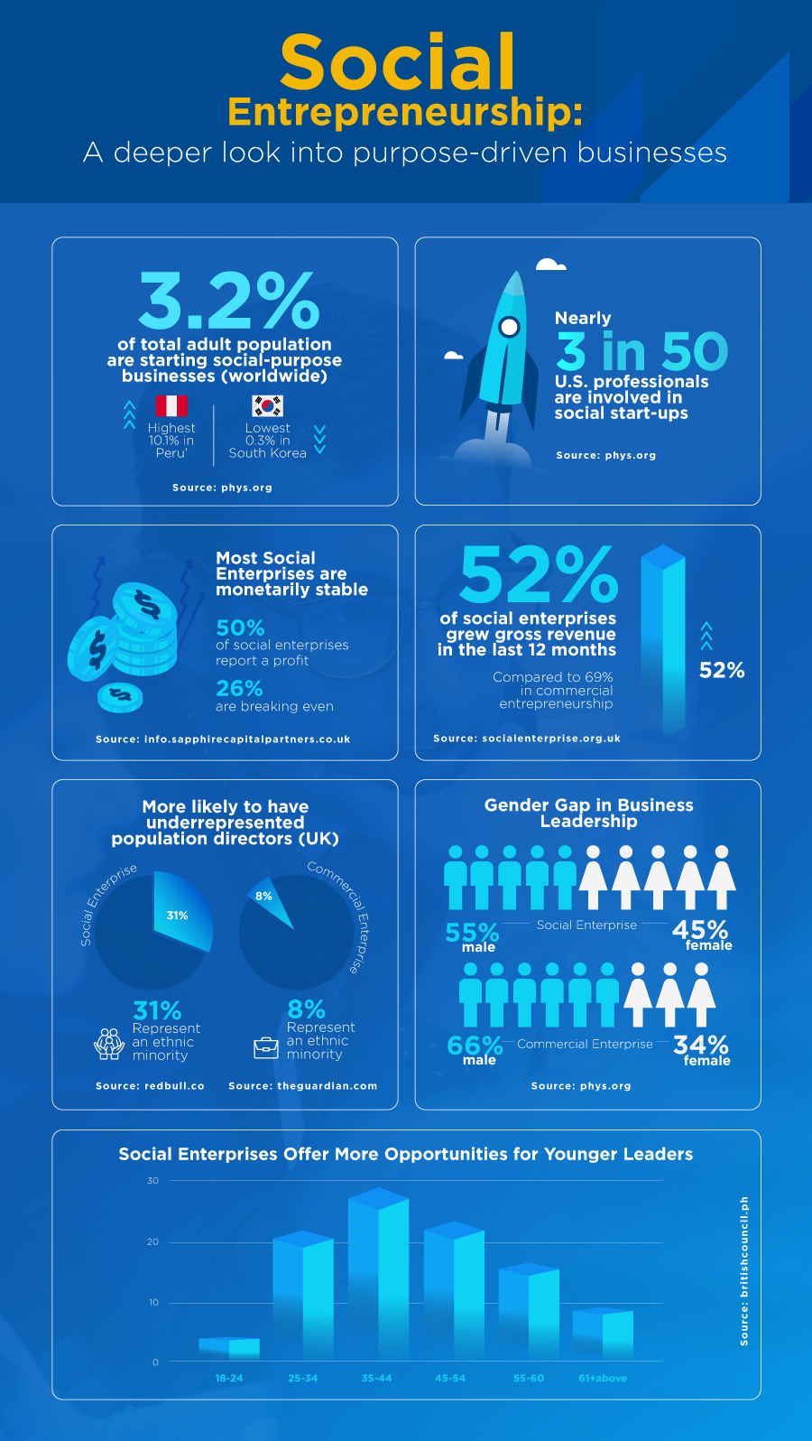 netimpact_infographic